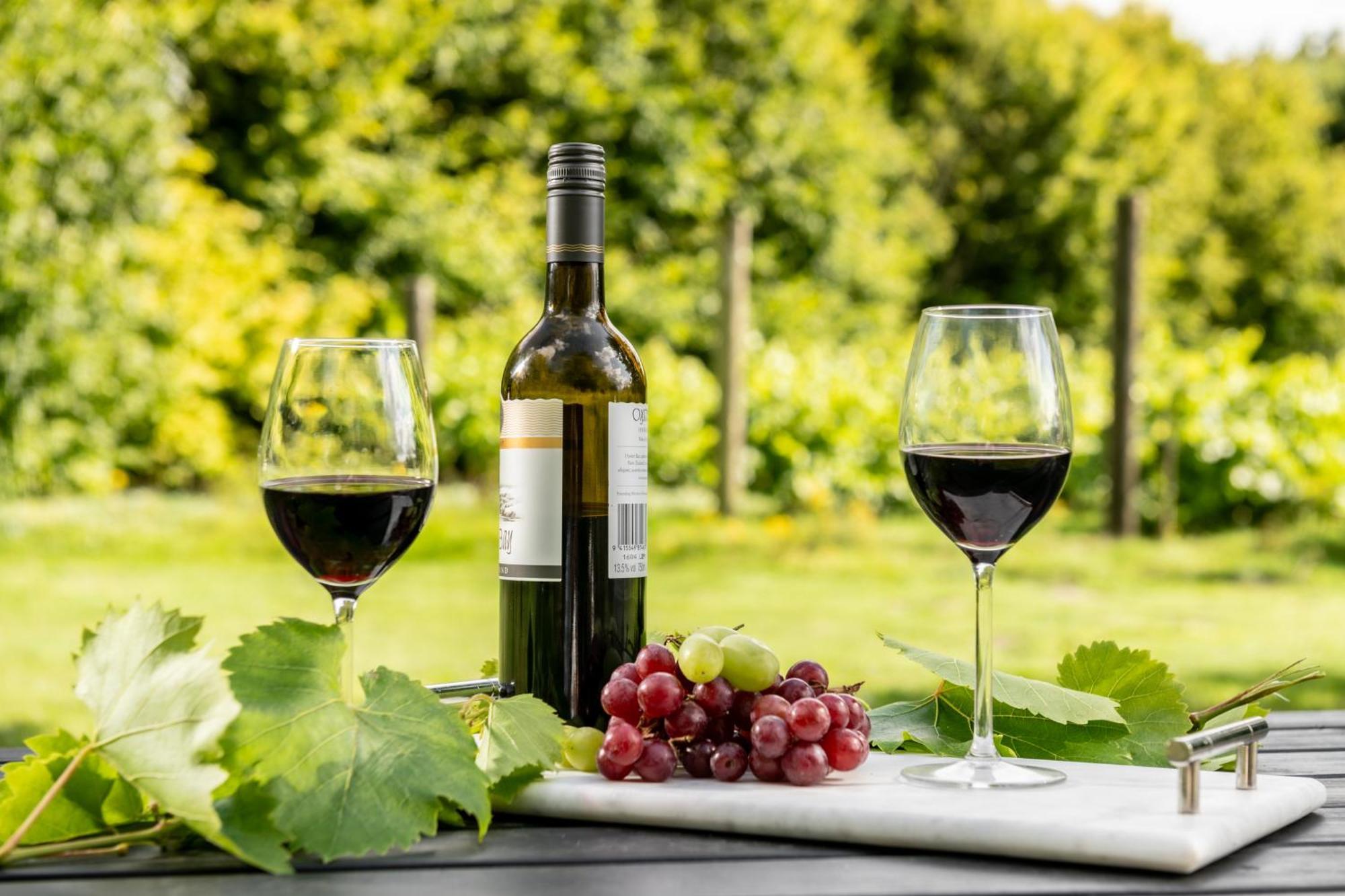 Willa Downwood Vineyard Manor In Idyllic Countryside Blandford Forum Zewnętrze zdjęcie