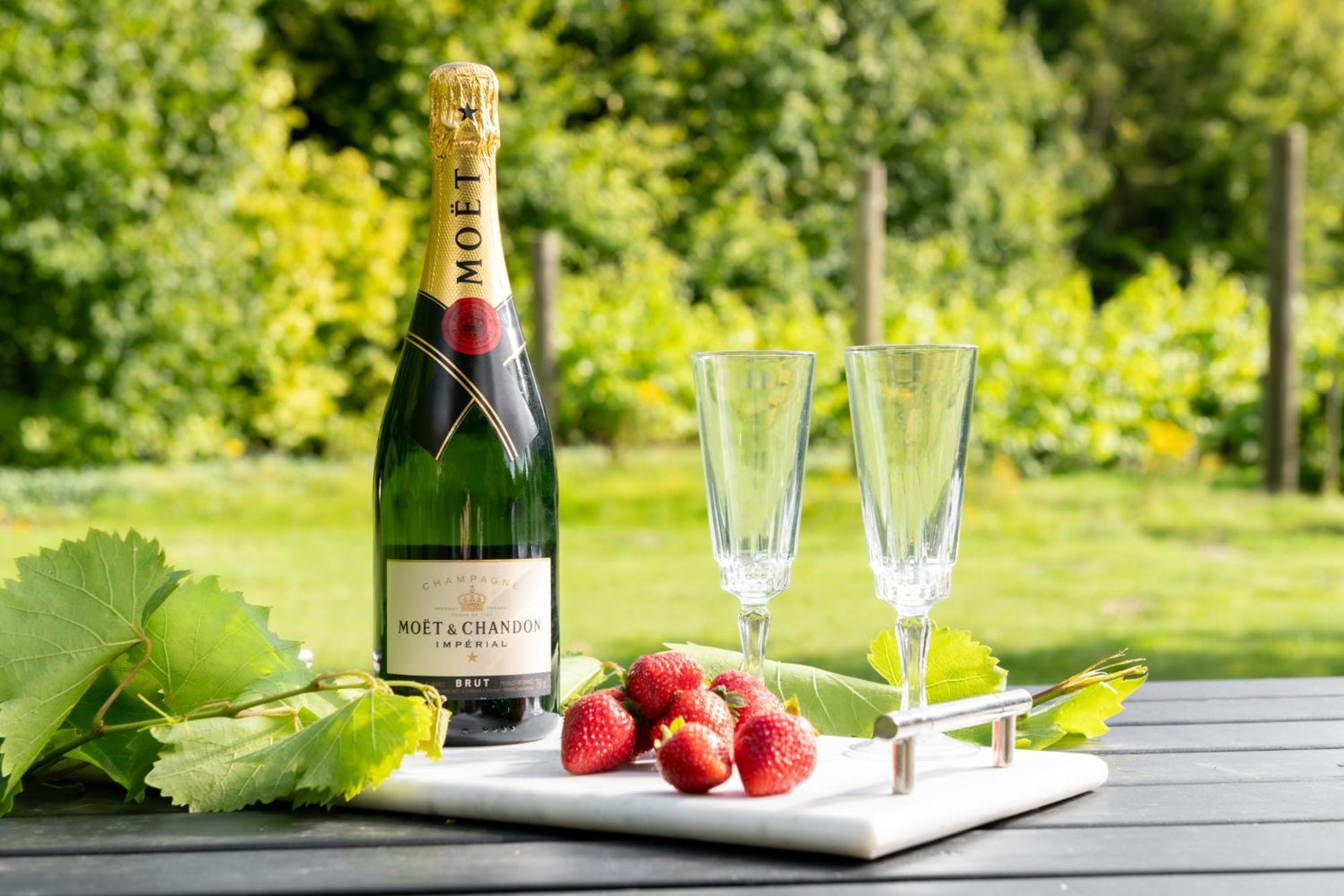 Willa Downwood Vineyard Manor In Idyllic Countryside Blandford Forum Zewnętrze zdjęcie