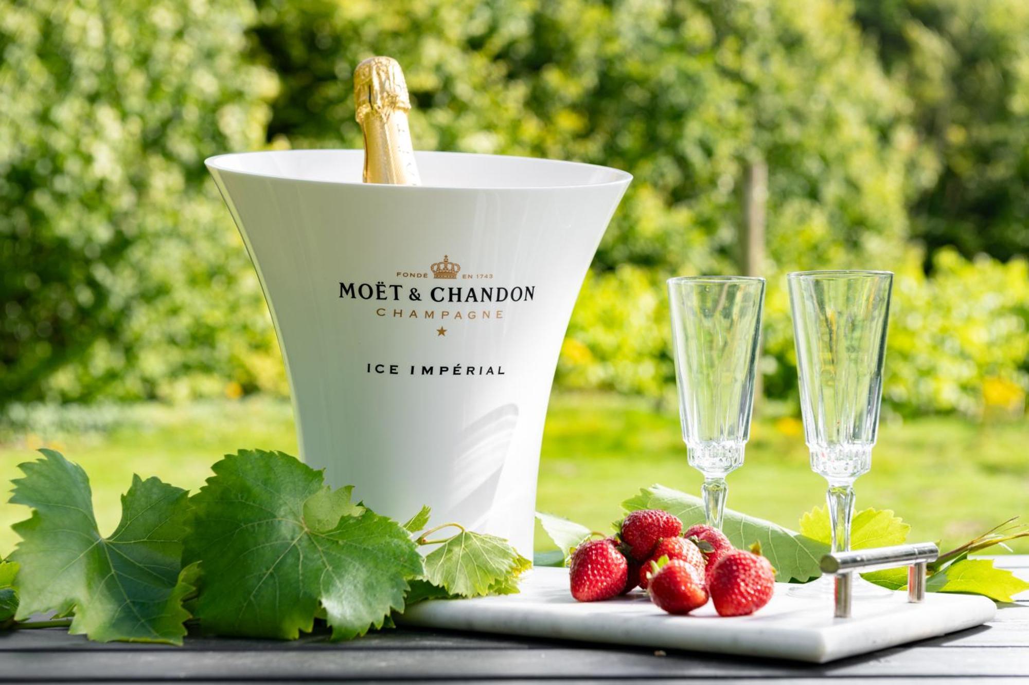 Willa Downwood Vineyard Manor In Idyllic Countryside Blandford Forum Zewnętrze zdjęcie